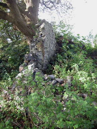Lanescot other ruins